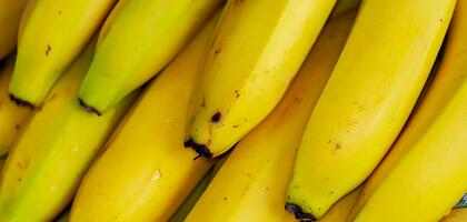 There will be bananas in Russia! And  they may become cheaper!