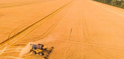 The growth of wheat exports was predicted in Russia